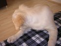 Iarna 2009 036